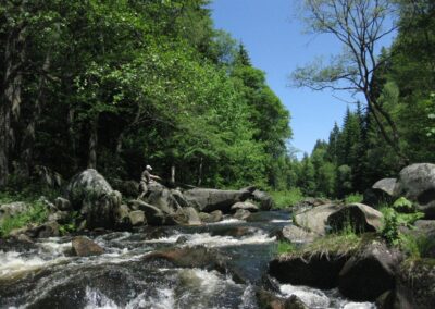 Fluss Schwarzwasser