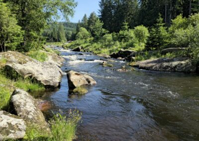 Naturschutzgebiet Sumava - catch and realese