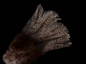 Die Coq de Leon-Federn sind ein absolutes Highlight für anspruchsvolle Fliegenbinder. Diese Federn stammen von der legendären Coq de Leon Hühnerzucht aus Spanien und sind weltweit für ihre aussergewöhnliche Qualität und Vielseitigkeit bekannt. Die natürlichen Farben und die besondere Struktur dieser Federn ahmen die Details lebendiger Insekten perfekt nach, was die Attraktivität und Wirksamkeit deiner Fliegen erheblich steigert.