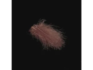 Fliegenbinder sind mit den bewundernswerten Eigenschaften von CDC-Federn (cul-de-canard) aus dem Umfeld der Talgdrüsen von Enten und anderen Wasservögeln bestens vertraut. CDC-Federn zeichnen sich durch ihre aussergewöhnliche Wasserbeständigkeit aus und sind ein unverzichtbares Material nicht nur für das Binden von Trockenfliegen, sondern auch für Emerger und sogar Nymphen. Die Packung enthält Federn in verschiedenen Grössen, und alle Federn sind verwendbar. Es gibt keinen Verschnitt!