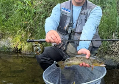 Fliegenfischen in Tschechien - Ein Paradies für Fliegenfischer