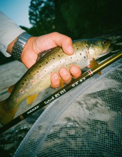 Fisherman’s hand holds a small speckled trout over a landing net, with a fishing rod visible nearby.