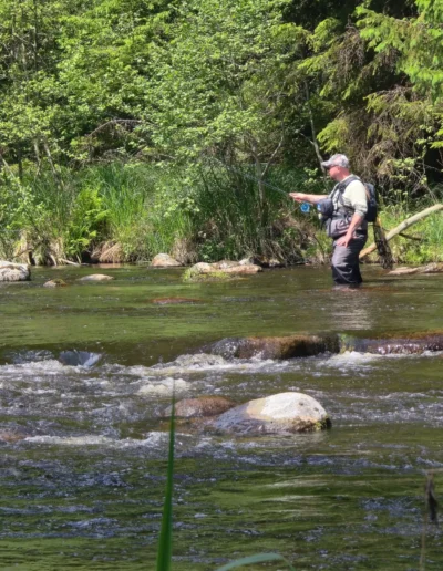 Fisherman wearing waders and cap standing in shallow river, casting a fishing line along a forested bank.