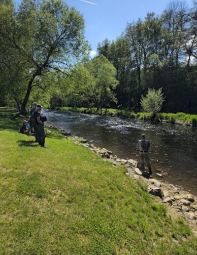 People fishing in Czech Republic on the river Moldau along a grassy riverbank on a sunny day, with tall trees and a blue sky overhead.