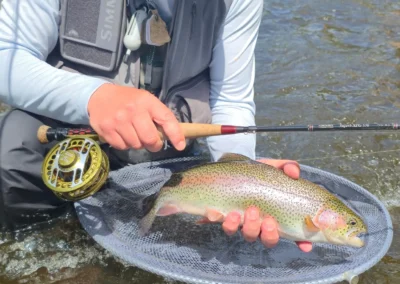 Man in fishing vest and cap sits by a river, holds a rainbow trout in a net after catching it.