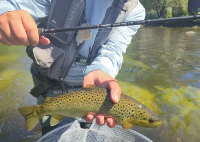 Man wearing a pink hat and sunglasses holds a brown trout over a net in a shallow river, during a sunny day.