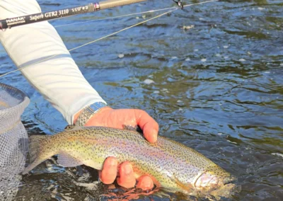 Person holding a rainbow trout over clear river water, wearing a long-sleeve shirt and watch, fishing gear visible in hand.